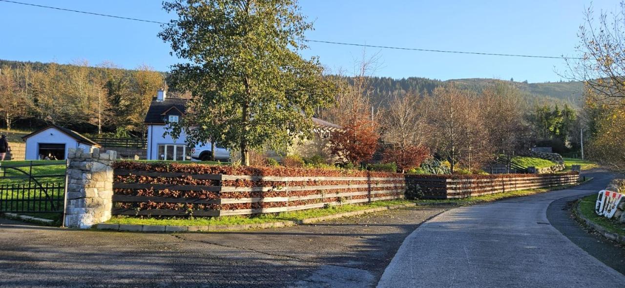 Rostrevor Valley House -Mountainside Hot Tub View Newry Buitenkant foto